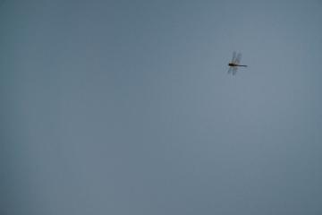 Витя и Марина, фотография